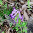 구담체육공원 이미지