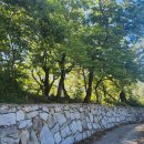 안촌경로당 이미지