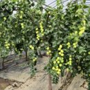 정인농장 이미지