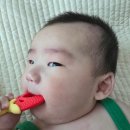 우리관리 - 안양시 동안구 학의로 282 | 아기 침독, 침만 많이 흘려도 생길까요? 우리 둘째 실제 관리 후기💛