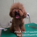 마린시티 종합동물병원 이미지