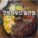 월드하우스 | 더샵일산엘로이 더샵일산퍼스트월드 근처 풍동맛집 코지하우스일산점 방문후기
