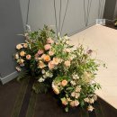 루체5호 | JK아트컨벤션 엠버루체 25하반기 견적O 투어후기