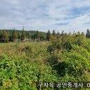 초지대교 3분 2차로에 접한 온수리 생산관리 96평 7천만원,강화도토지,강화도부동산 이미지
