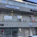 세영마트 | 울산 남구 달동 속눈썹펌 유얼듀이에서 손상없는 노글루펌