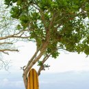 momo house(모모하우스) 이미지