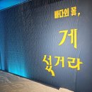 역사문화의 길 | 인천시립박물관 특별전 후기｜바다의 꽃 ‘게 섰거라’로 만나는 꽃게의 역사와 문화 이야기