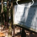 사직2동-6 이미지