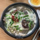 뚠뚠돼지김치찌개 송정점 | 전남 광주 맛집 광주송정역 영명국밥