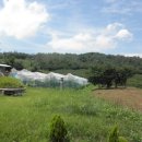 당산목장 이미지