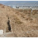 청태농장 이미지