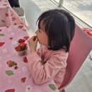 숲에온어린이집 이미지