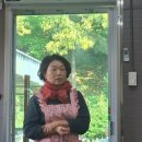 제부도오리골협동조합 | 제부도 오리골 협동조합