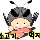일진하이솔루스(주) 이미지