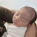 스위치완도점 | 26년 4월 26일~29일 남편이 써준 38살 노산 초산모 유도분만 후기, 응급제왕및 병원 입원일지