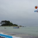 2009진하,일산바다핀수영대회 이미지