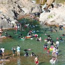 백담계곡 이미지