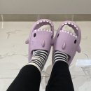 디어민 뷰티