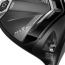 맥스골프클럽 이미지