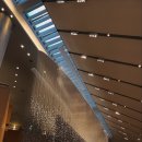 호텔리얼 | 서울 신라호텔 호캉스 ..? 다녀온 리얼후기 :) 장점,단점 다 알려드려요!