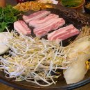 돼지우리불났네 이미지