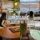 1236 | 제주 동쪽 숙소 추천, 제주드루앙 1236