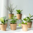 스마일OK공인중개사사무소 이미지