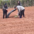 버들농장 이미지