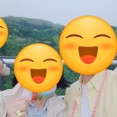 유메