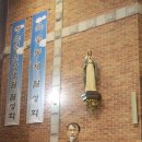 양지-13 이미지