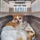 한주동물병원 이미지