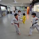 신성태권도장 이미지