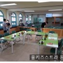 스트라비전 이미지