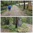 현중농장 | 검단산등산코스이야기