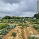 기흥2농장 이미지