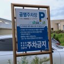 장전정자나무낚시터 | 제주도 동쪽 가을 드라이브스루 관광코스 해안누리길 50코스 닭머르해안길 위치 주소 주차장