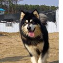 화우농장 이미지