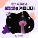 퍼플데이 이미지