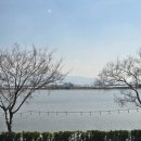 오플로우 이미지