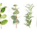 주식회사 더세이지 이미지