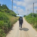 김정기 농장 이미지