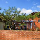 박화식농장 이미지