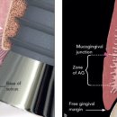 플러스덴치과의원 이미지