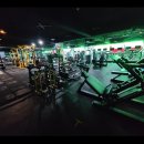 발리 휘트니스 이미지