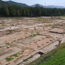 덕정1통 이미지