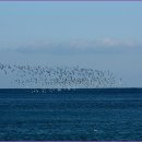 바닷가에서 이미지