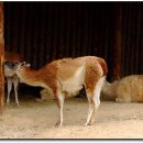 오-월드 이미지