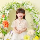 123스튜디오 이미지
