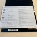 신라A | 신라 모노그램 강릉 레지던스 수영장 내돈내산 솔직 후기