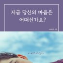 나우출판사